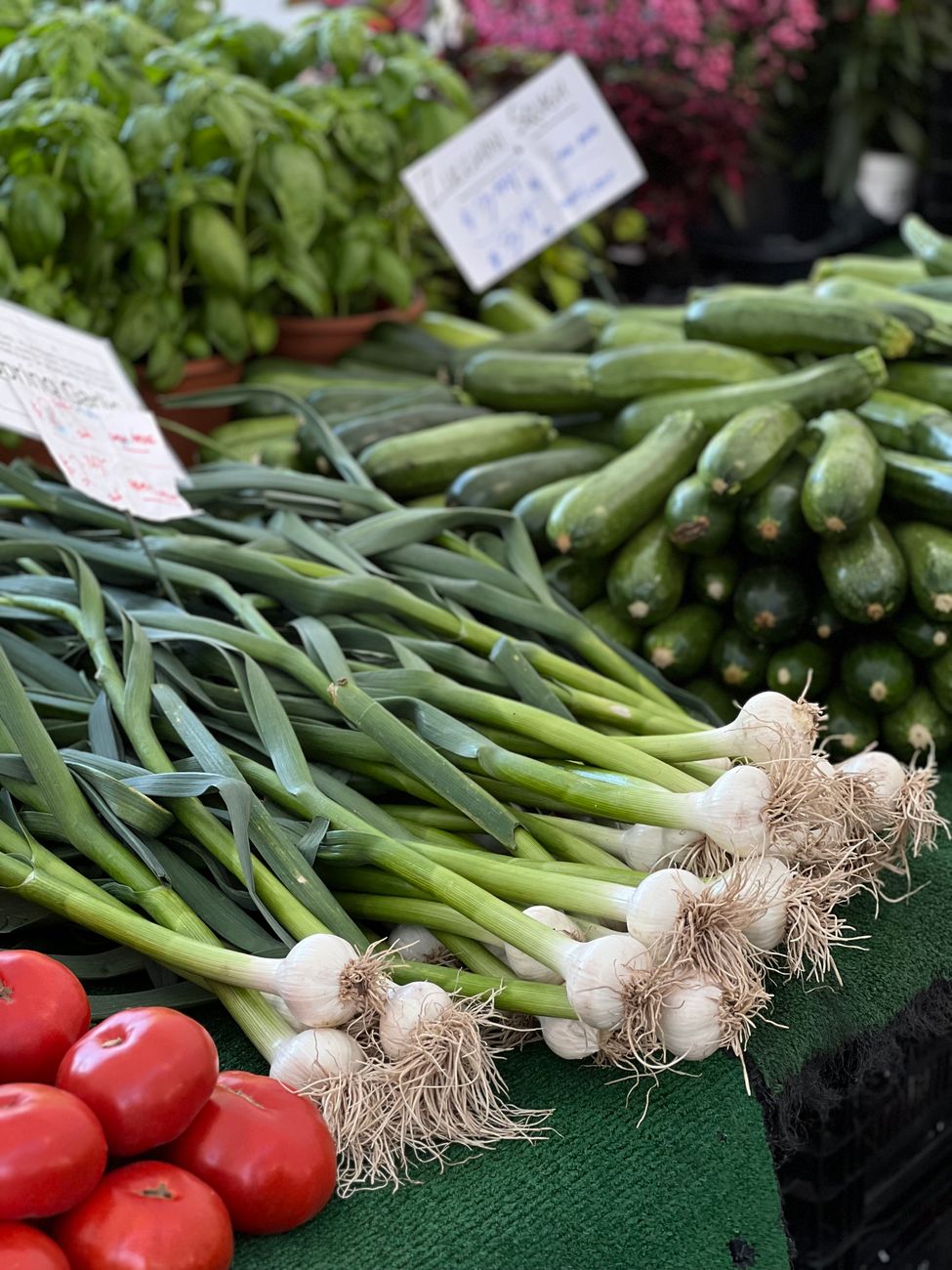 vegetables in the market