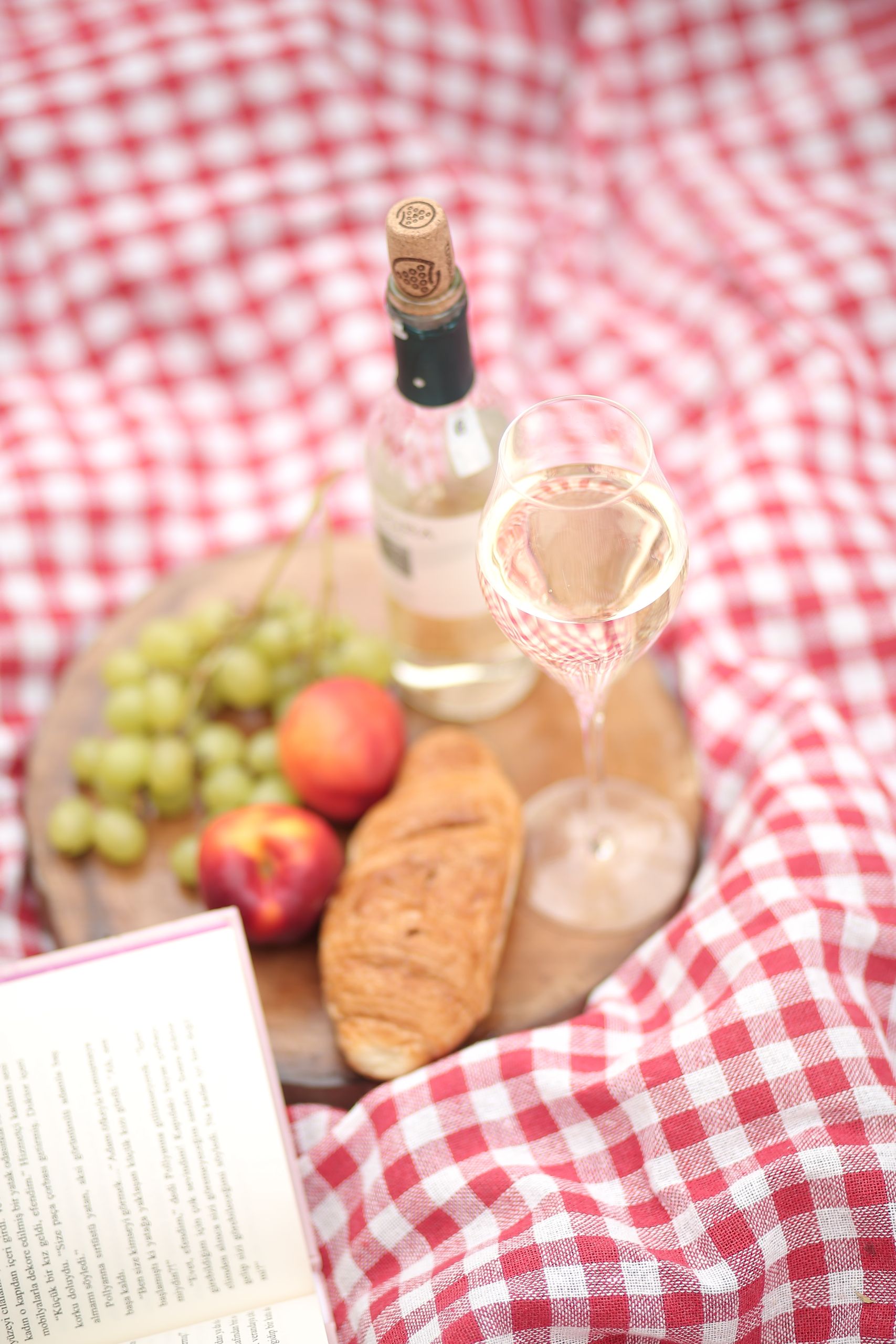 A cozy picnic setup with wine, fruits, and a book on a checkered blanket.